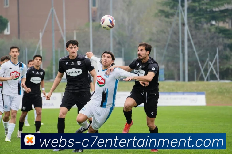 c7娱乐服务体系