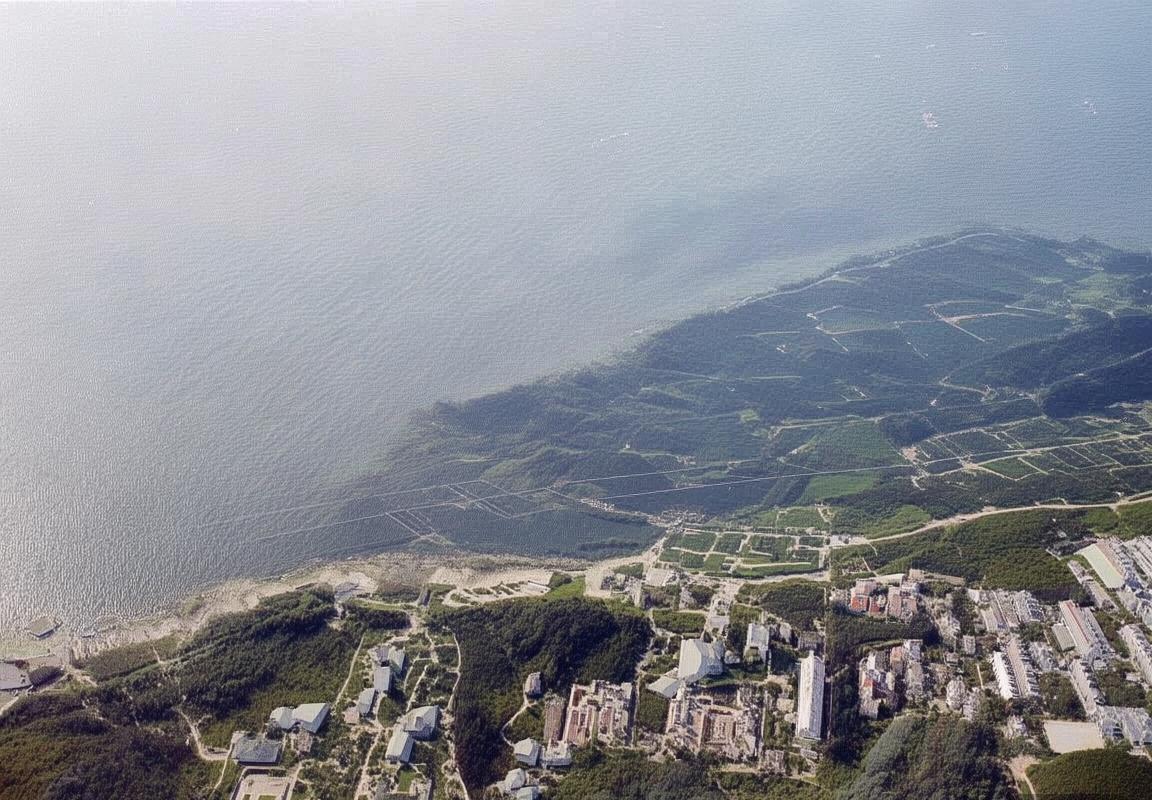 梅西苏亚雷斯双星闪耀，巴萨3-1力克里昂欧冠小组赛经典回顾(图4)