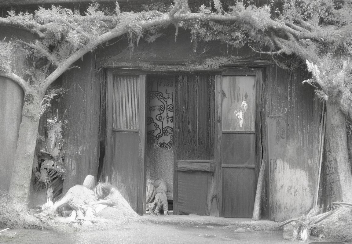 波士顿凯尔特人：赛场内外深远影响力解析(图3)